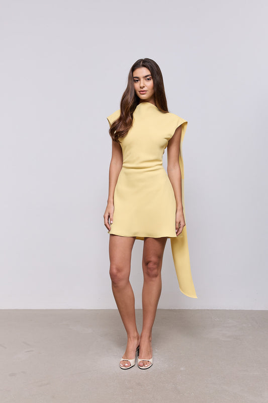 Drape Mini Dress