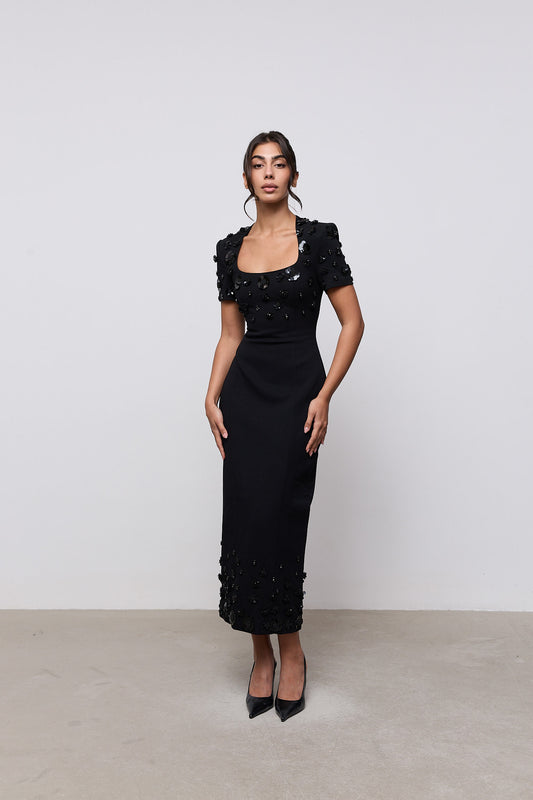 Embellished Appliqué Midi Dress