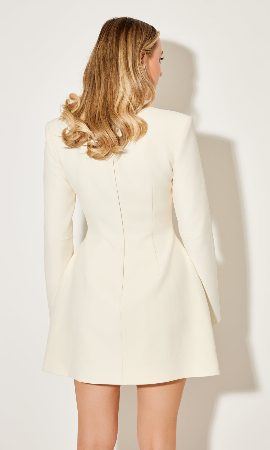 The Ultimate Muse Long Sleeve Button Down Dress