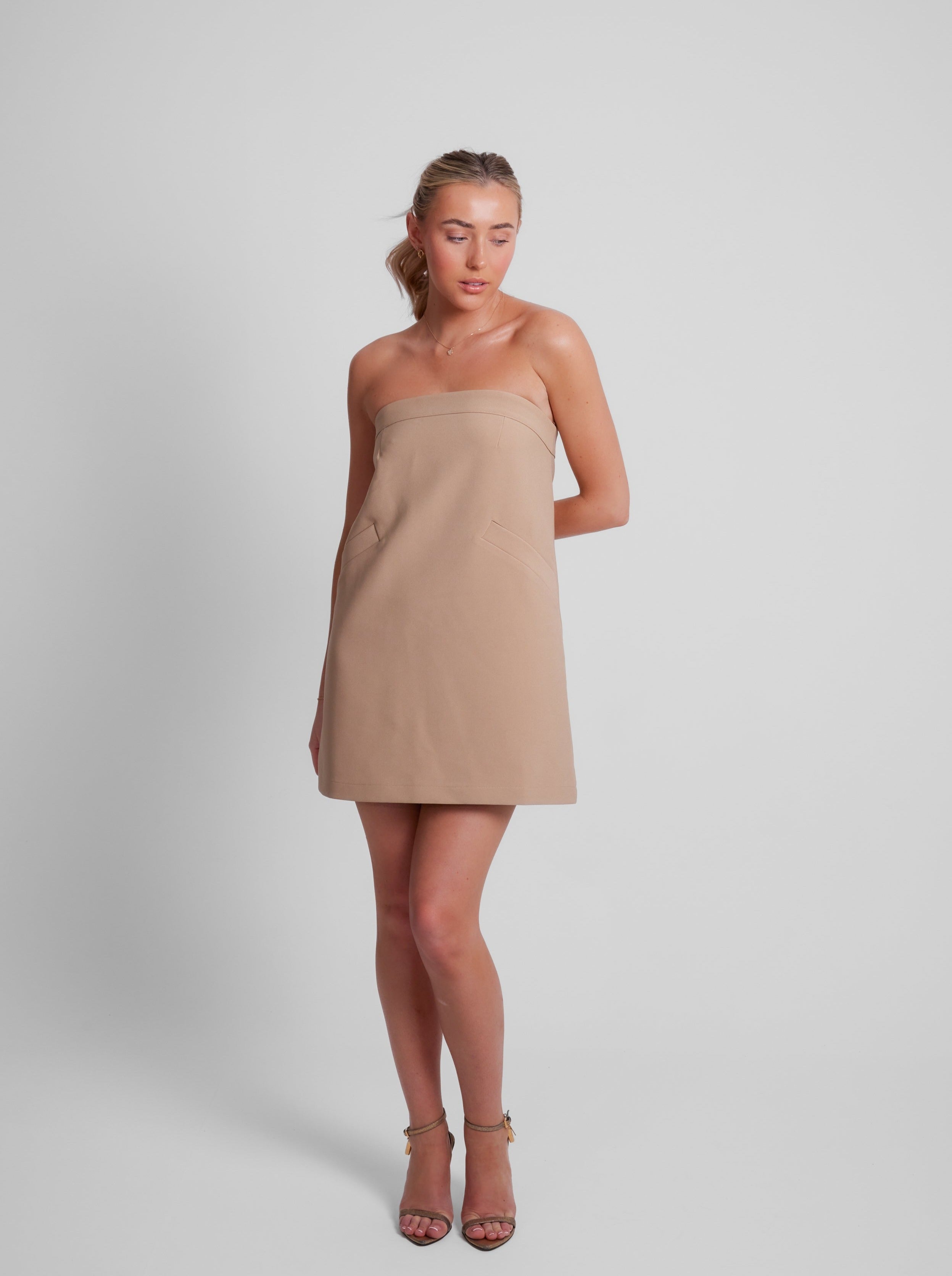 The Ultimate Muse A-Line Dress | Camel