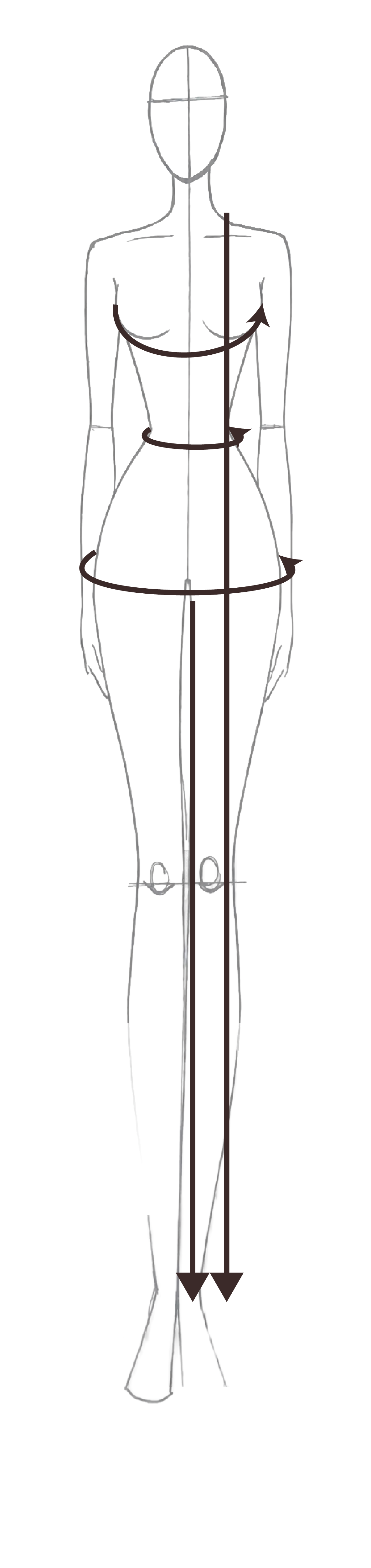 Figure showing where to measure your bust, waist and hip