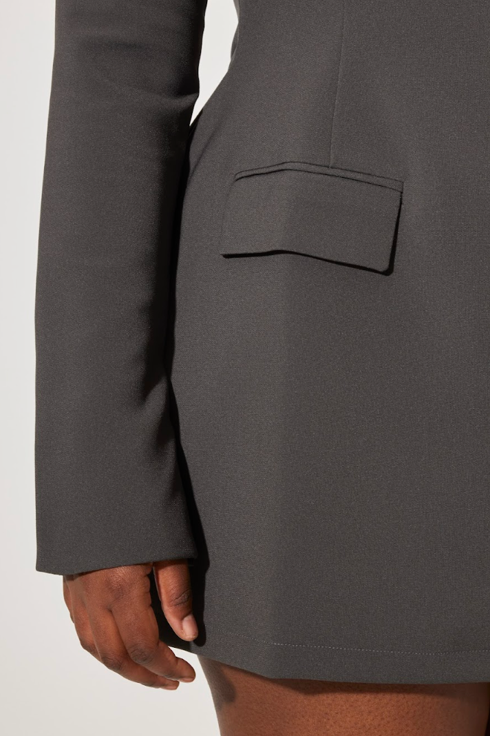 The Ultimate Muse Split Sleeve Mini Dress