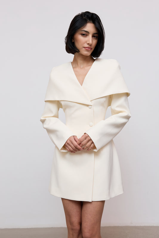 Statement Collar Mini Dress