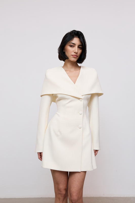Statement Collar Mini Dress